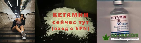 прущие грибы Волоколамск