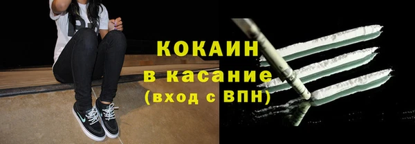 прущие грибы Волоколамск