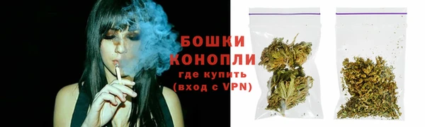 прущие грибы Волоколамск
