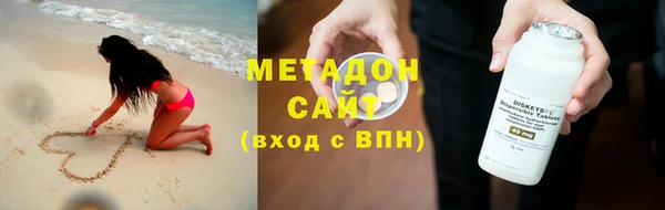 прущие грибы Волоколамск