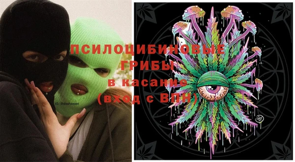 прущие грибы Волоколамск