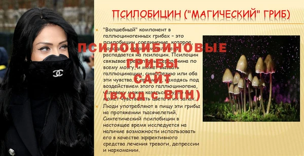 прущие грибы Волоколамск
