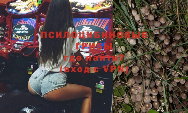 трава Верхнеуральск