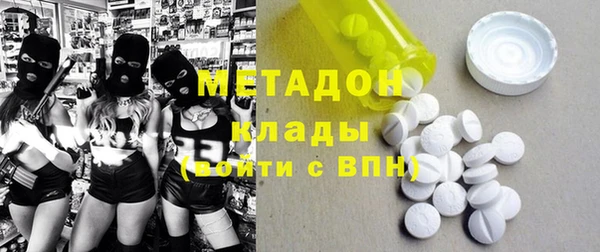 прущие грибы Волоколамск