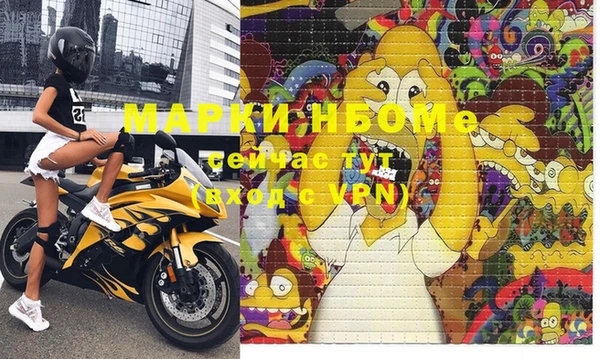 прущие грибы Волоколамск