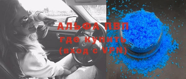 прущие грибы Волоколамск