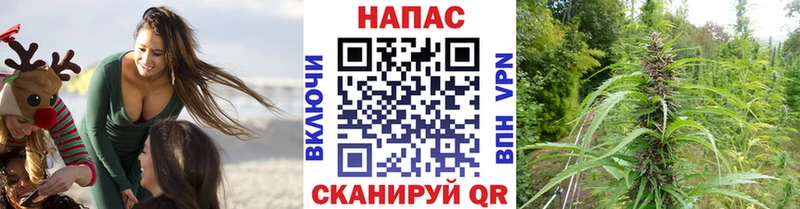 ссылка на мегу сайт Ворсма Бошки марихуана White Widow